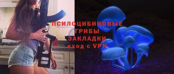 прущие грибы Верхнеуральск