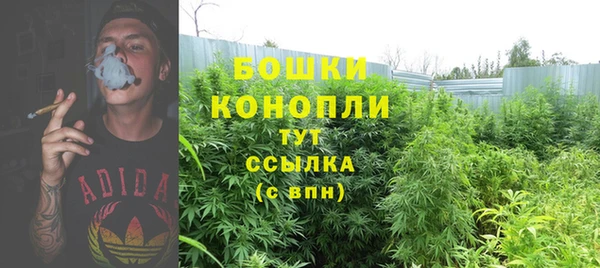 прущие грибы Верхнеуральск